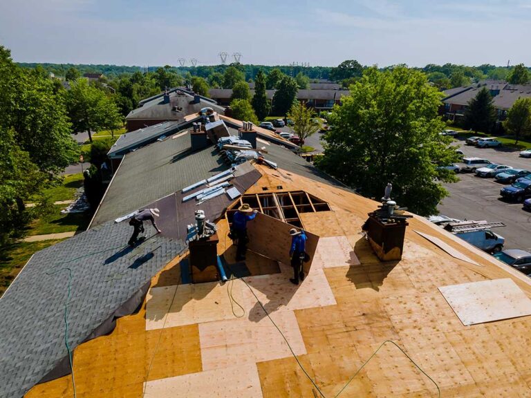 A person standing on a ladder, attaching holiday lights with plastic clips to a shingled roof.